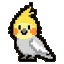 Cockatiel