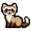 Ferret