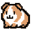 Guinea Pig